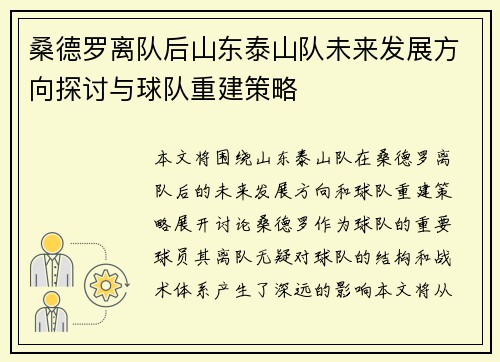 桑德罗离队后山东泰山队未来发展方向探讨与球队重建策略